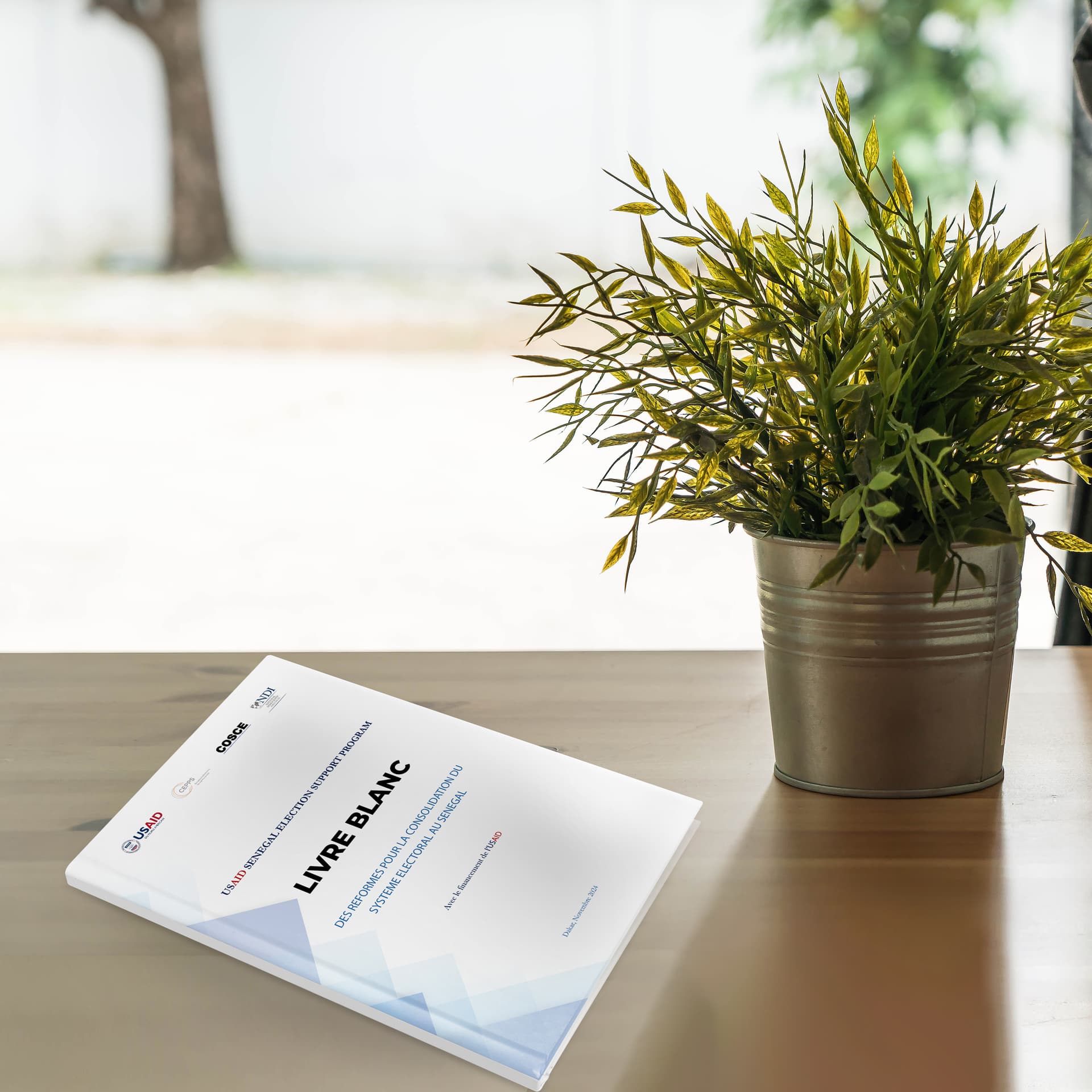 NDI Institutionnel — 5